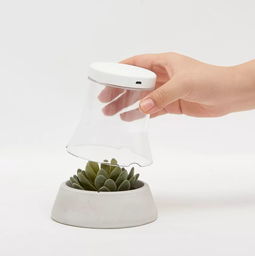 好的設計無關價格 從名創(chuàng)優(yōu)品聯(lián)名廣美畢設看大眾美學的破圈之路